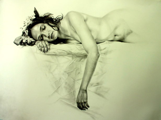dibujos realistas de Carmen Mansilla